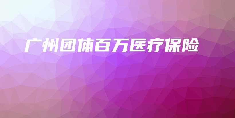 广州团体百万医疗保险-PLB