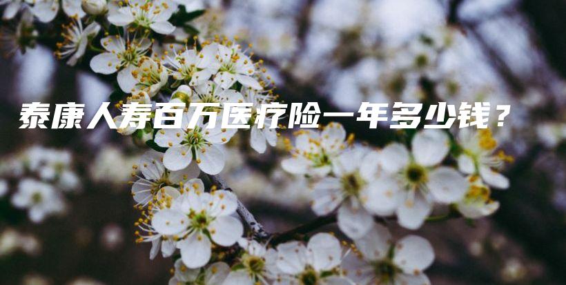 泰康人寿百万医疗险一年多少钱？-PLB