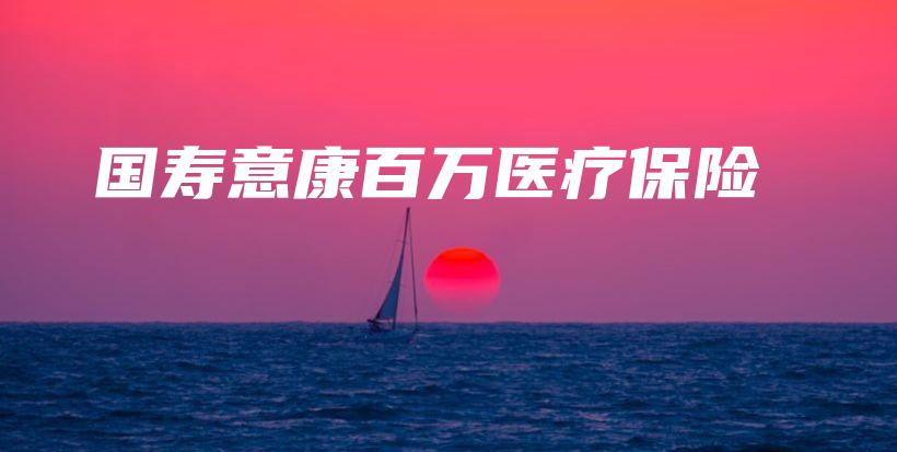 国寿意康百万医疗保险-PLB