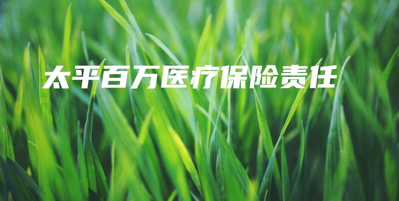 太平百万医疗保险责任-PLB
