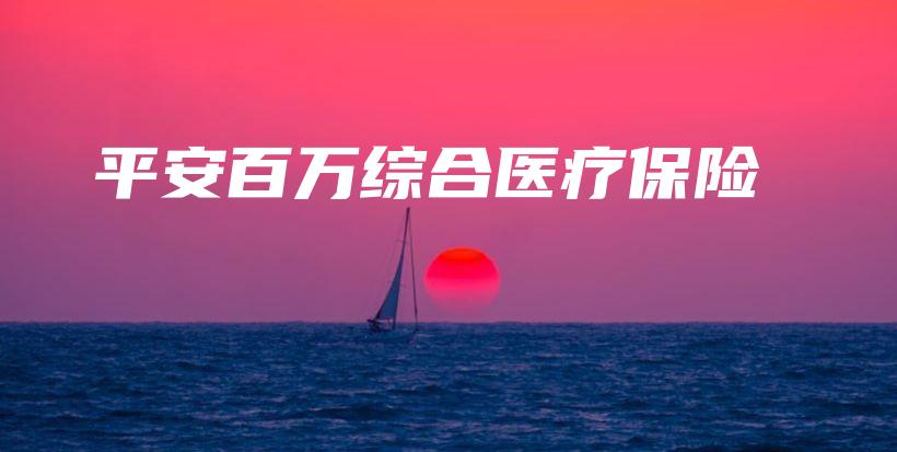 平安百万综合医疗保险-PLB