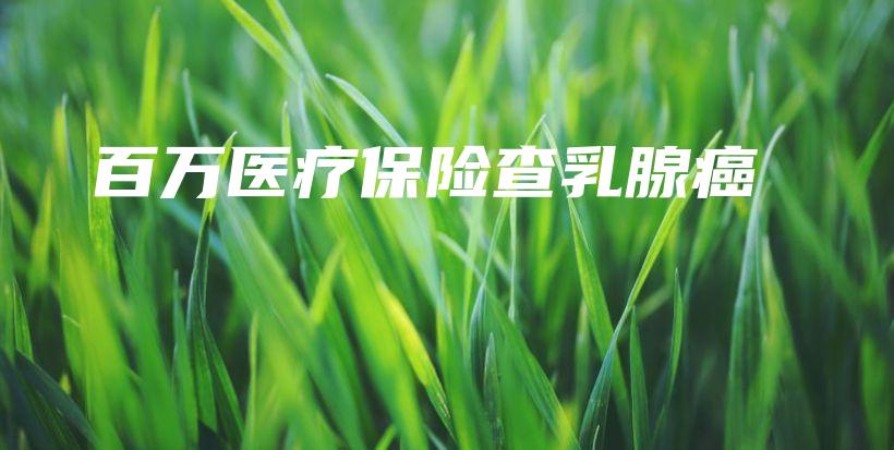 百万医疗保险查乳腺癌-PLB