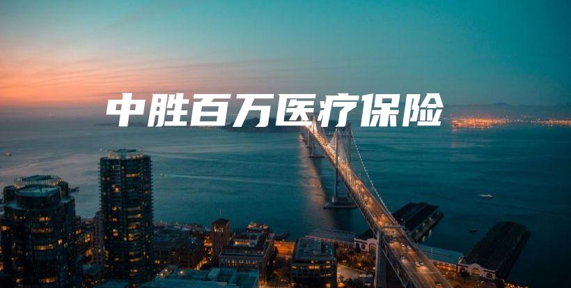中胜百万医疗保险-PLB