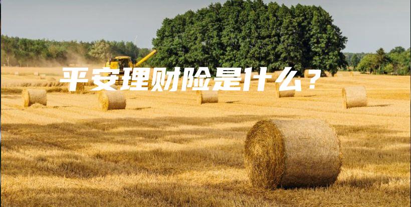 平安理财险是什么？-PLB