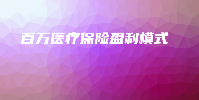 百万医疗保险盈利模式-PLB