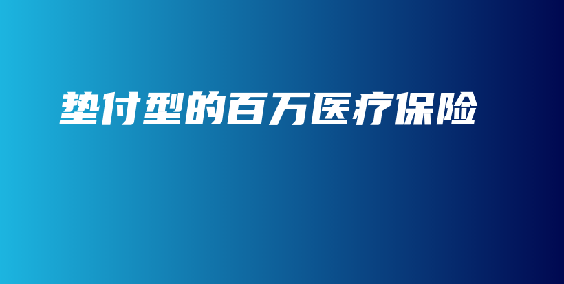 垫付型的百万医疗保险-PLB