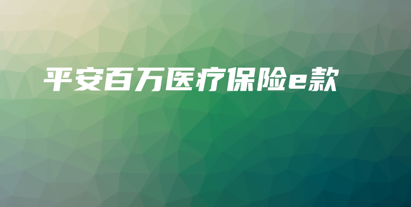 平安百万医疗保险e款-PLB