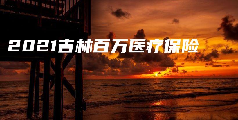 2021吉林百万医疗保险-PLB