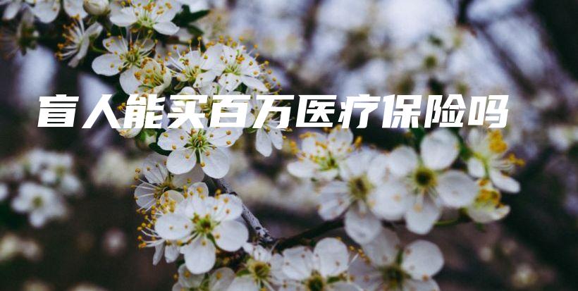 盲人能买百万医疗保险吗-PLB