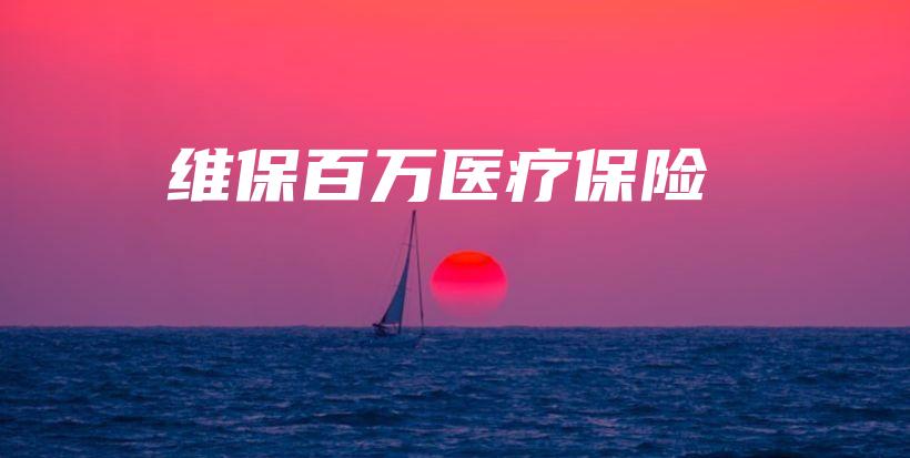 维保百万医疗保险-PLB