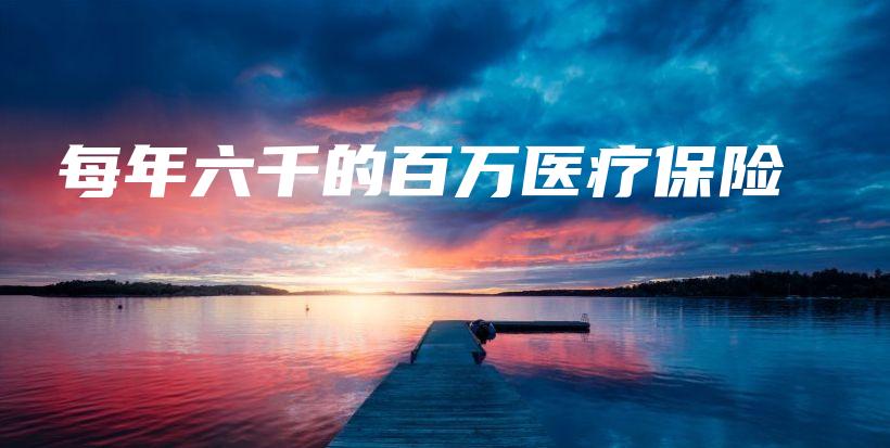 每年六千的百万医疗保险-PLB