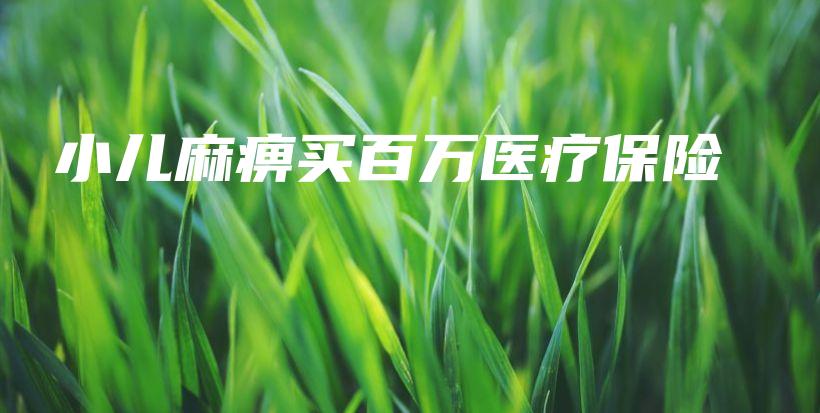 小儿麻痹买百万医疗保险-PLB