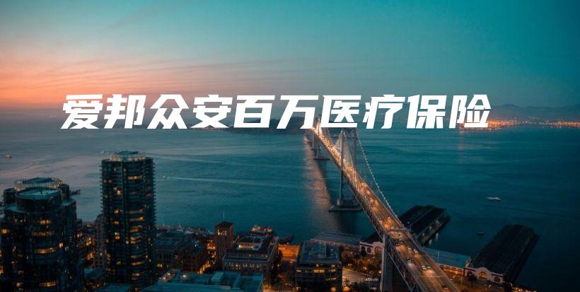 爱邦众安百万医疗保险-PLB