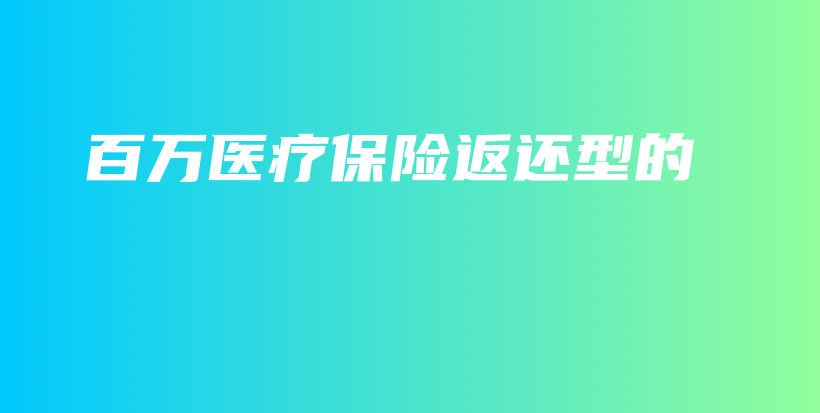 百万医疗保险返还型的-PLB