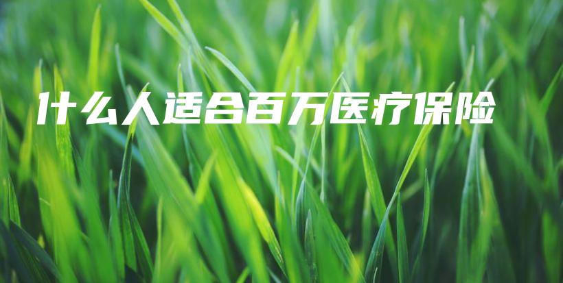 什么人适合百万医疗保险-PLB