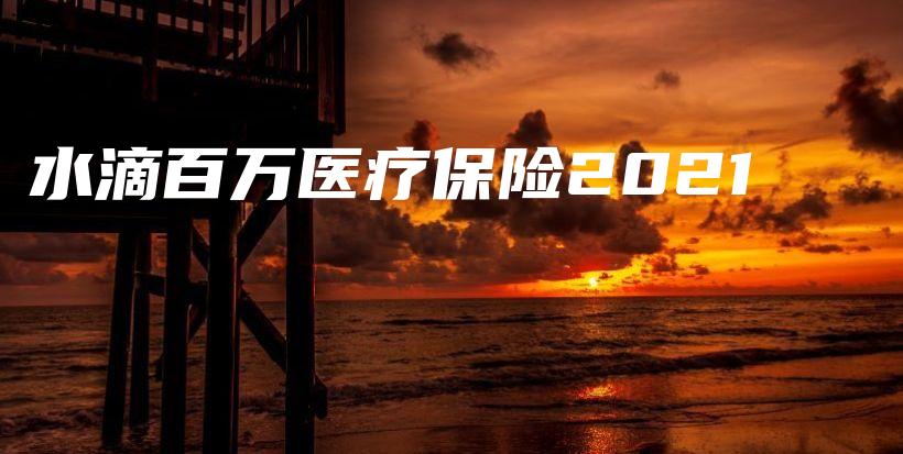 水滴百万医疗保险2021-PLB