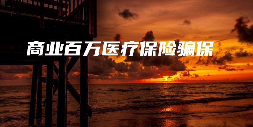 商业百万医疗保险骗保-PLB