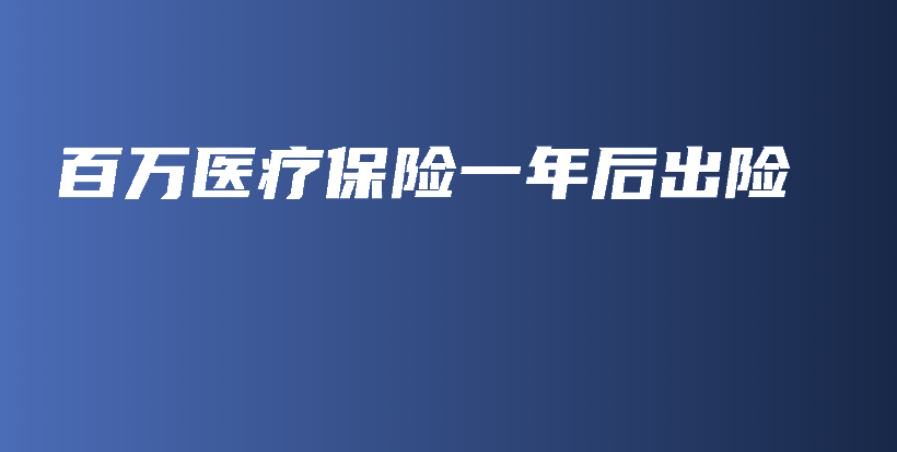 百万医疗保险一年后出险-PLB