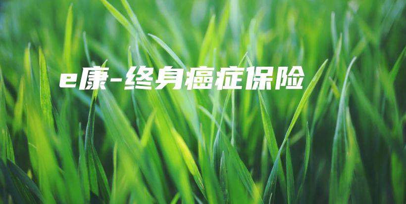 e康-终身癌症保险-PLB