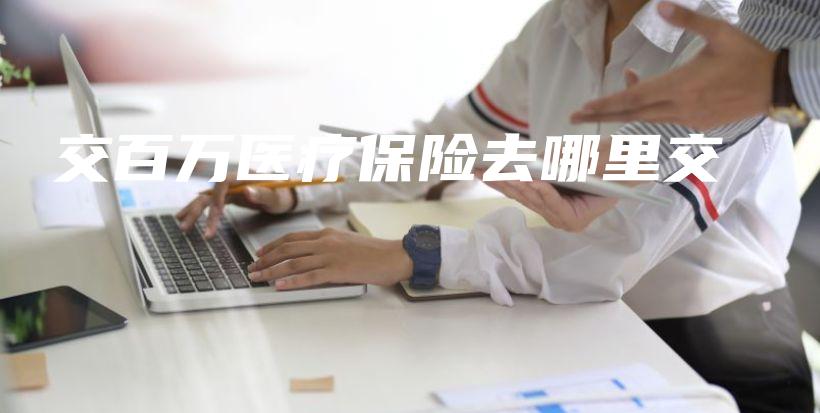 交百万医疗保险去哪里交-PLB