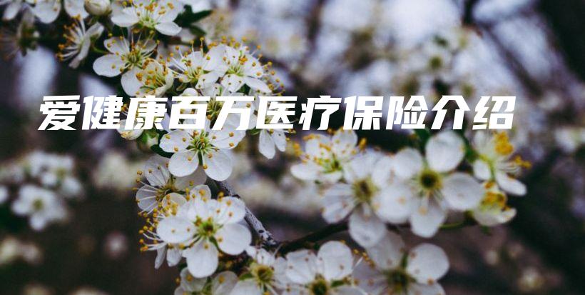 爱健康百万医疗保险介绍-PLB