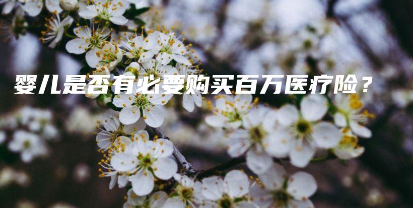 婴儿是否有必要购买百万医疗险？-PLB