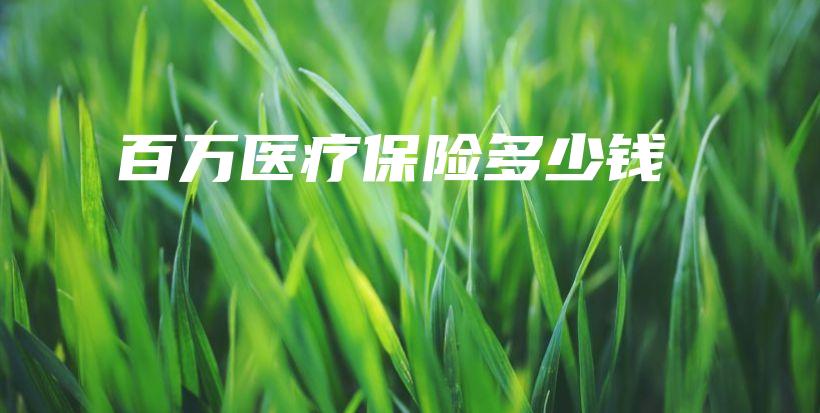 百万医疗保险多少钱-PLB