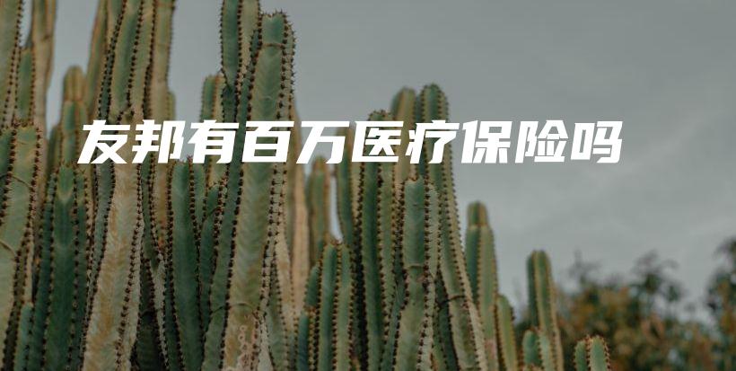 友邦有百万医疗保险吗-PLB