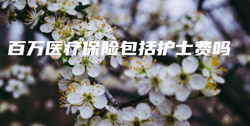 百万医疗保险包括护士费吗-PLB
