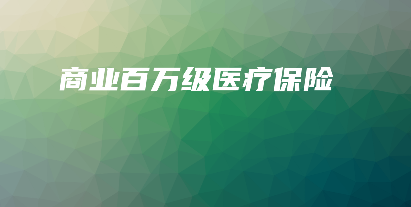 商业百万级医疗保险-PLB