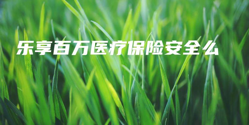 乐享百万医疗保险安全么-PLB