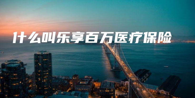 什么叫乐享百万医疗保险-PLB