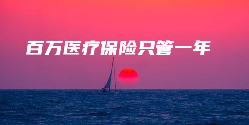 百万医疗保险只管一年-PLB