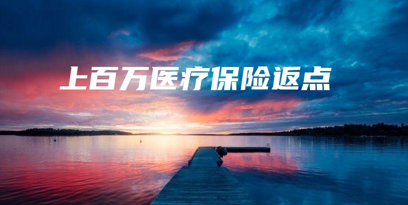 上百万医疗保险返点-PLB