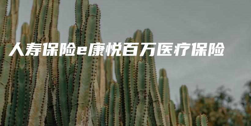 人寿保险e康悦百万医疗保险-PLB