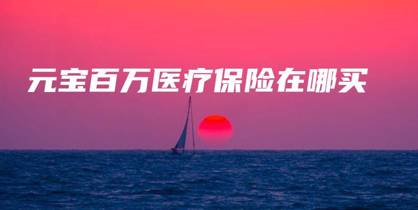 元宝百万医疗保险在哪买-PLB