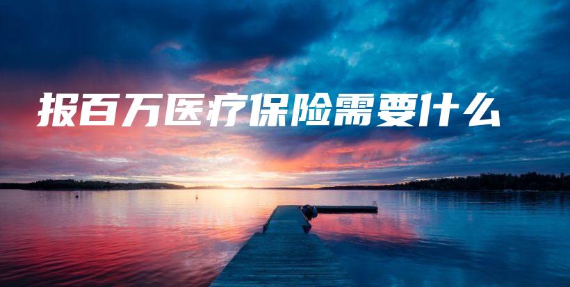 报百万医疗保险需要什么-PLB