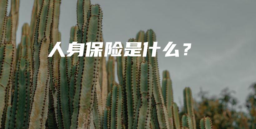 人身保险是什么？-PLB