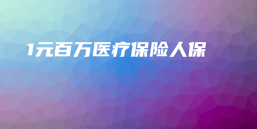1元百万医疗保险人保-PLB