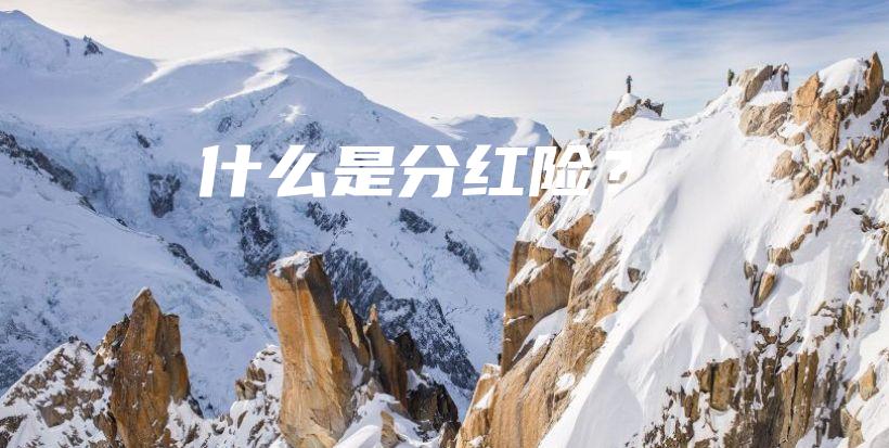 什么是分红险？-PLB