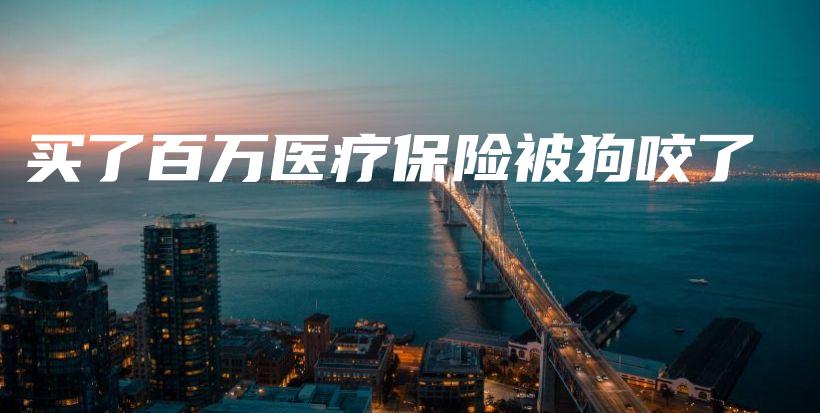 买了百万医疗保险被狗咬了-PLB