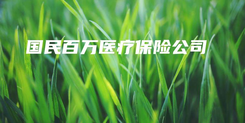 国民百万医疗保险公司-PLB