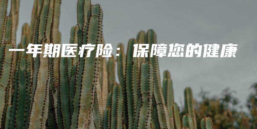 一年期医疗险：保障您的健康-PLB