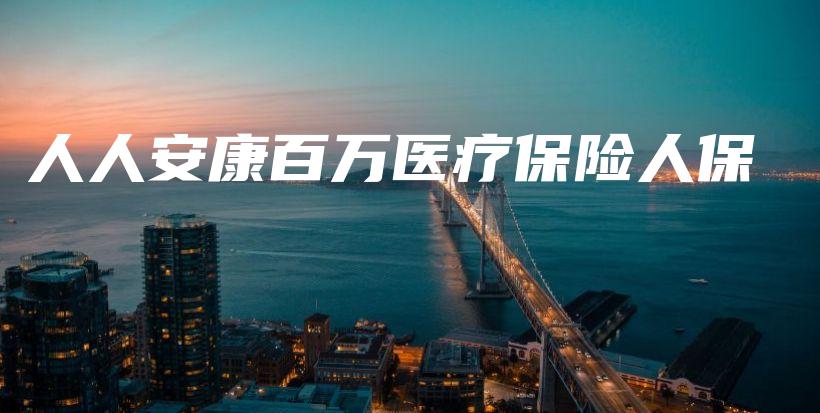 人人安康百万医疗保险人保-PLB