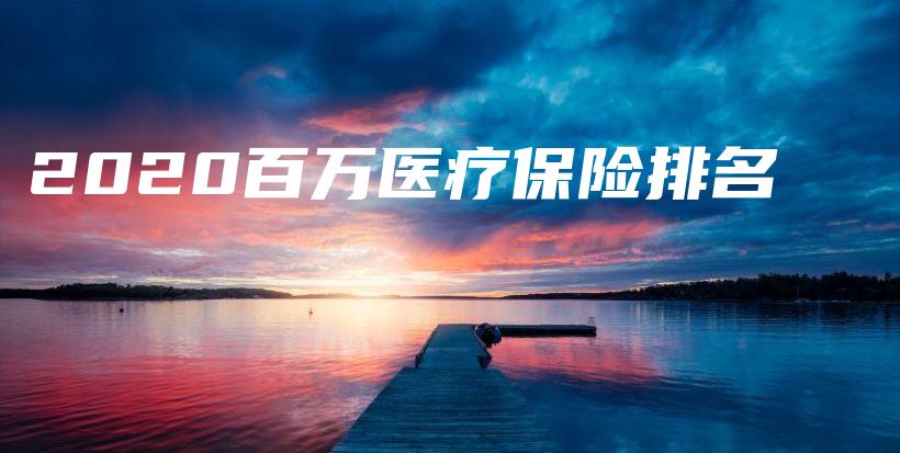 2020百万医疗保险排名-PLB