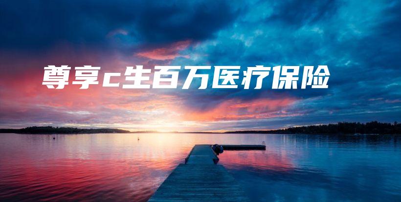 尊享c生百万医疗保险-PLB